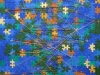 Finding the Patterns in the Puzzle of Life